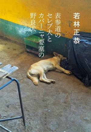 表参道のセレブ犬とカバーニャ要塞の野良犬
