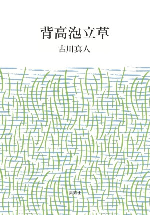 背高泡立草の表紙