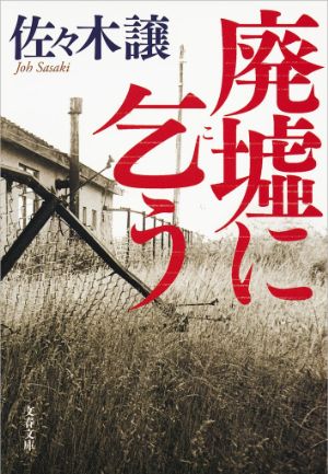 廃墟に乞うの表紙